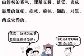 嵊州企业清欠服务