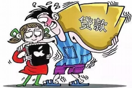 嵊州贷款清欠服务